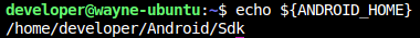 android_home_env